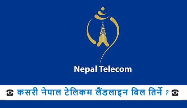 how-to-check-pay-nepal-telecom-landline-bill-sms-ivr-webrecharge